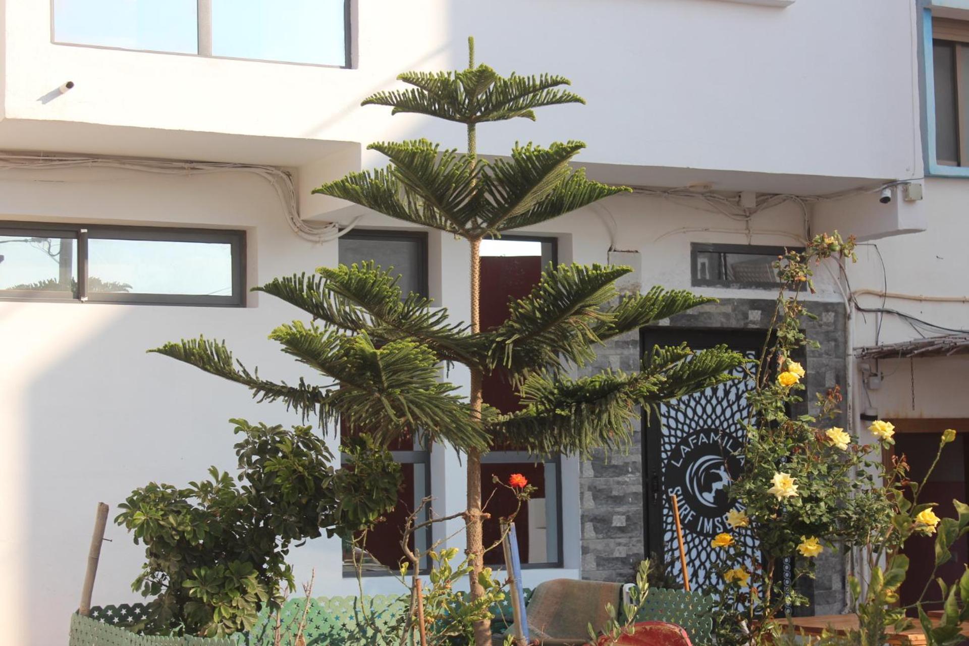 Lafamilia Surf Imsouane Exterior foto
